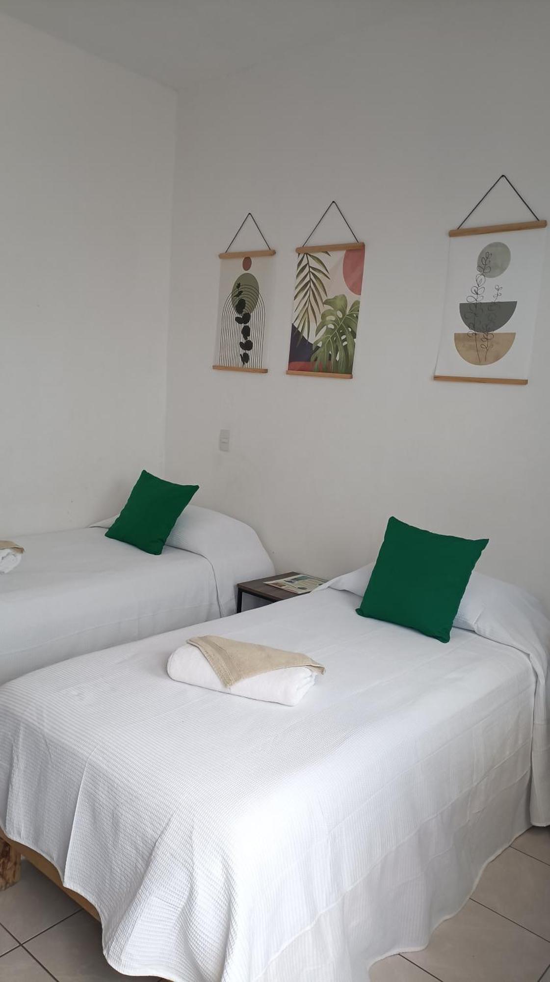 Tauch Cancun Centro מראה חיצוני תמונה
